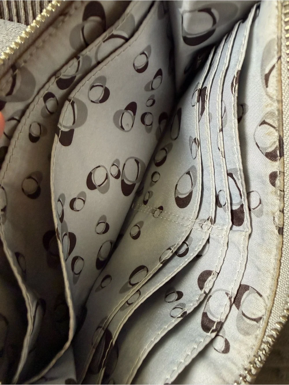 Coach Poppy Metallic Wristlet Clutch